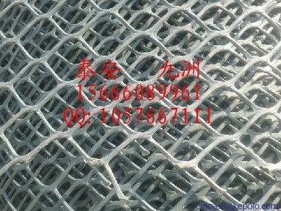 温州高强度土工网与泰安九洲土工格室 规格齐全，应用广泛