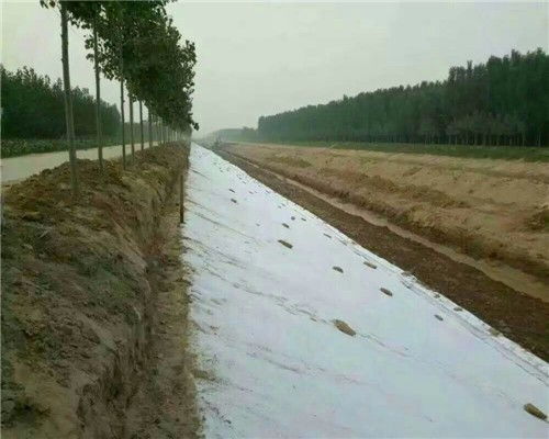 黄南300g护坡防水土工布 优质防护，当日发货，欢迎选购与格栅搭配使用