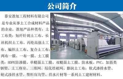 山东盈旭厂家 三维植被网与土工网垫的生态绿化解决方案